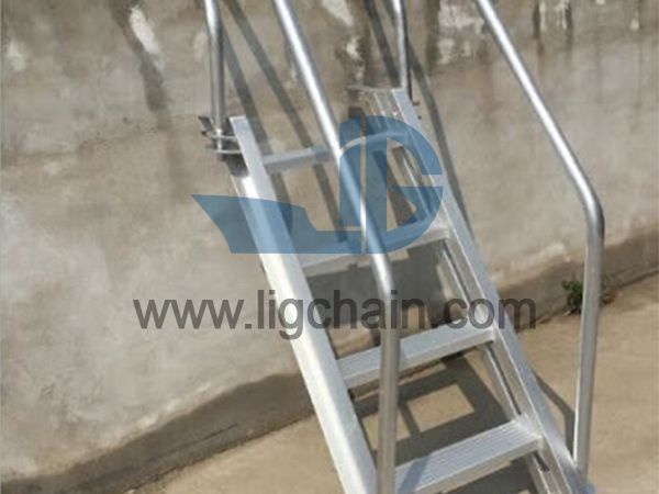 Steel Bulwark Ladder 